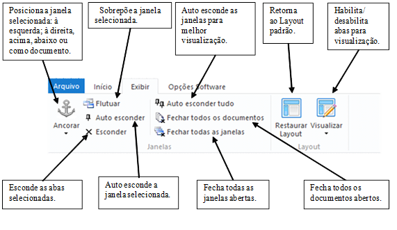 Figura 5 - Menu Exibir.png